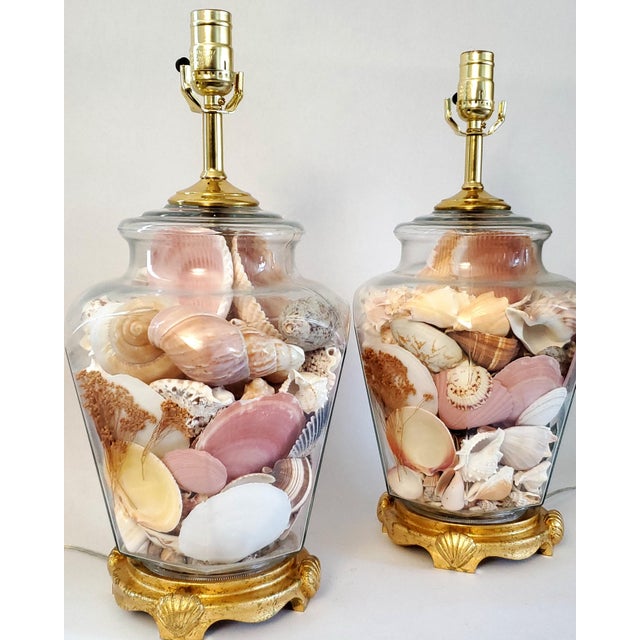 Lamp Pair Shells Seashells For Sale - Image 10 of 12