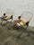 Vintage Chairs by Gastone Rinaldi, 1970s, Set of 2 For Sale - Image 9 of 10