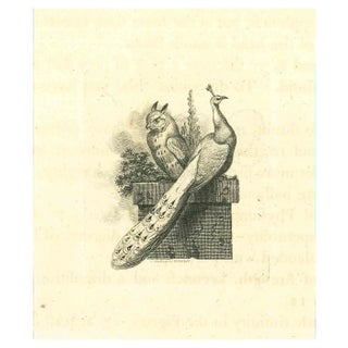 Thomas Holloway, The Physiognomy: The Owl and the Peacock, Etching, 1810 For Sale