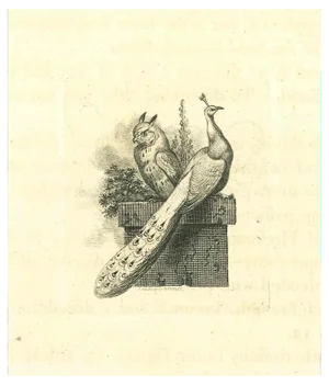 Thomas Holloway, The Physiognomy: The Owl and the Peacock, Etching, 1810