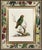 !8th-Century Engraved Prints of Exotic Birds by George Edwards With Decoupage Frames (12) For Sale - Image 13 of 14