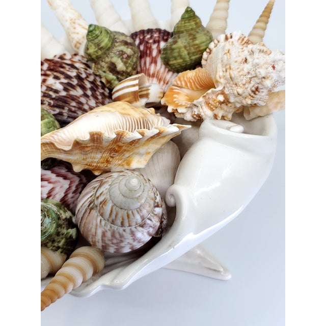 Bowl Seashells Shells For Sale - Image 13 of 14