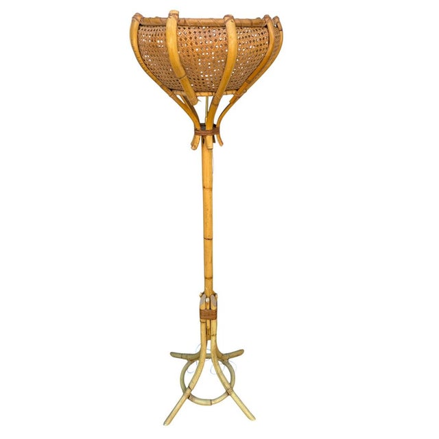 Vintage French Table Lamp in Rotin, 1960s For Sale - Image 4 of 10