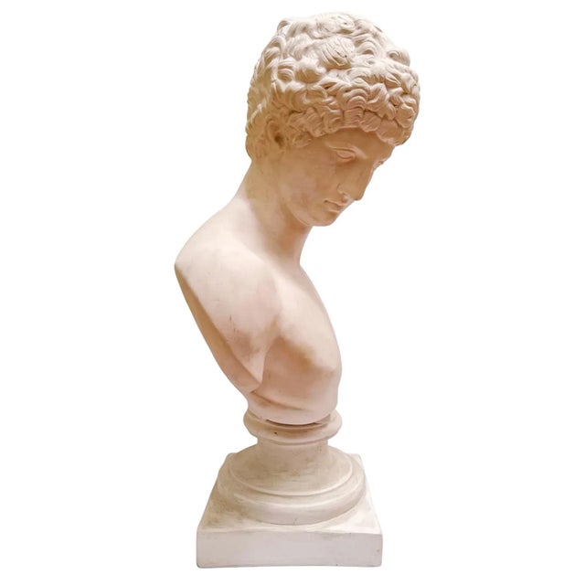 Large Scale Antinous Plaster Bust For Sale - Image 4 of 9