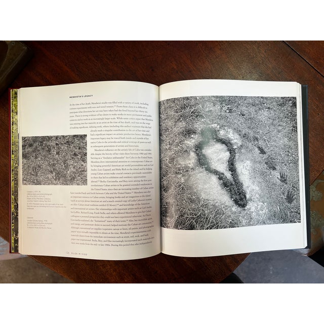 Ana Mendieta: Earth Body, Sculpture and Performance (1972–1985) For Sale In Atlanta - Image 6 of 10