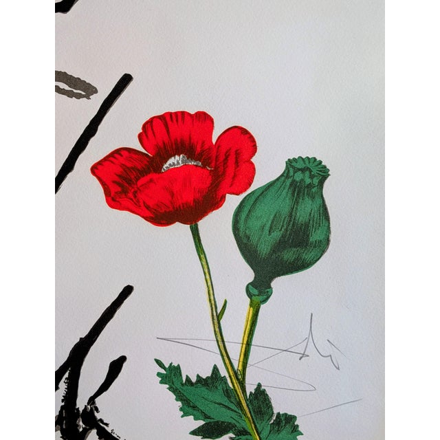 1970s Salvador Dali, Autumn (M&L 1370), 1972, Hand-Signed Original Color Lithograph For Sale - Image 5 of 18