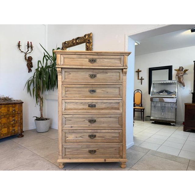 Original Gründerzeit 7-Piece Shop Chest/Weekly Chest D2642 For Sale - Image 12 of 12