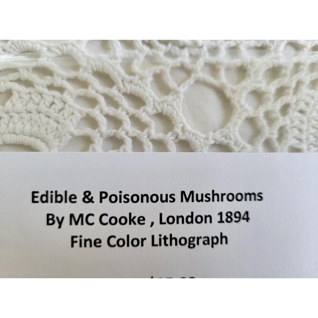American Edible & Non-Edible Mushrooms by MC Cooke of London, Antique 1894 Lithograph For Sale - Image 3 of 5