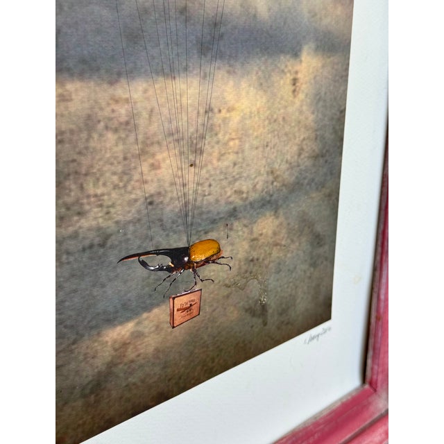 2016 Jennifer Ivory 'Air Papillion' Print With Butterfiles & Hurcules Beetle Motif - Framed For Sale - Image 14 of 15