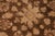 Classic Ziegler Brown Tan Hand-Knotted Wool Rug - 8'11'' X 11'10'' For Sale - Image 4 of 8