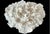 Natural White Coral Reef Specimen #7 For Sale In Tampa - Image 6 of 10