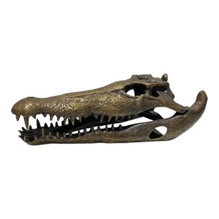 Life Sized Cast Bronze Crocodile Skull Sculpture For Sale