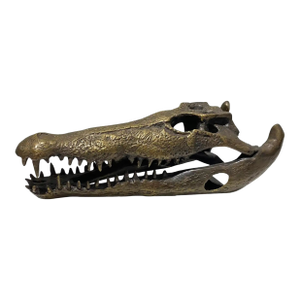 Life Sized Cast Bronze Crocodile Skull Sculpture