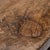 Wood Chinese Monumental Peach Patch Console Table, C. 1750 For Sale - Image 7 of 7