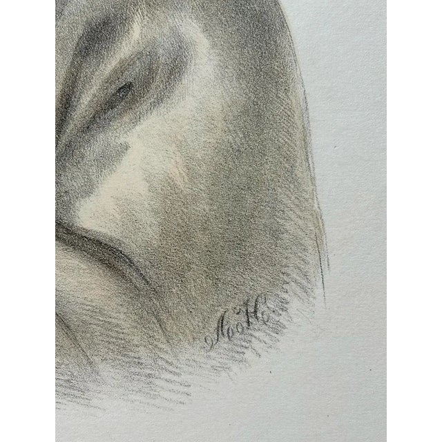 Paper Ojibwe Warrior Portrait, Meta-Koosega, Hand-Colored Lithograph, 1838 For Sale - Image 7 of 12