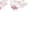 Porcelain Teacups and Saucers, 19th Century, Set of 12 For Sale - Image 5 of 6