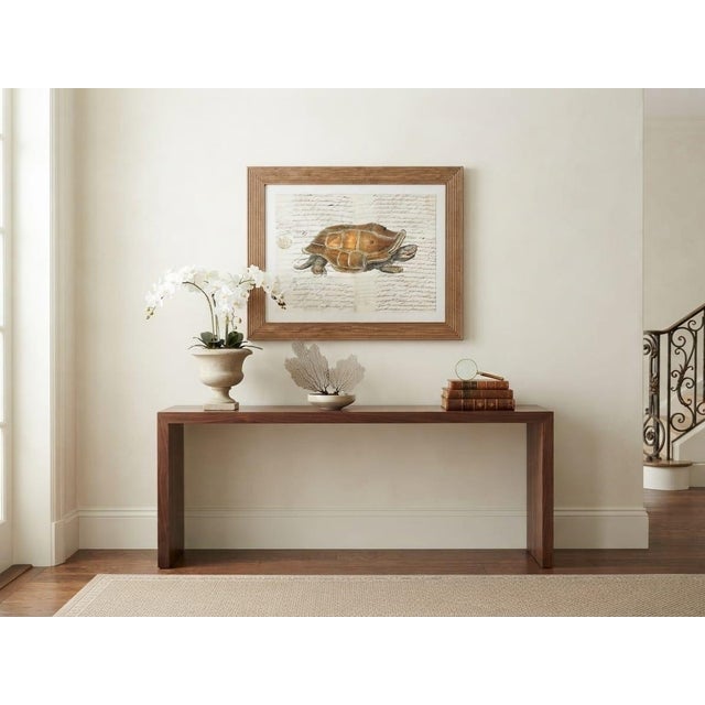 Vintage Natural History Turtle Illustration Framed Print For Sale - Image 11 of 12