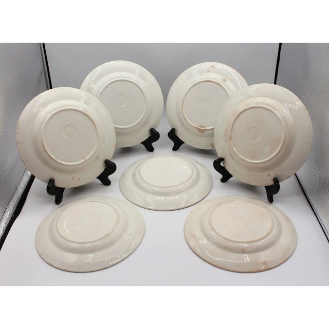 Late 19th century collection of 7 ironstone plates, by Clementson Brothers, England. Hanley mark. Each with a different...