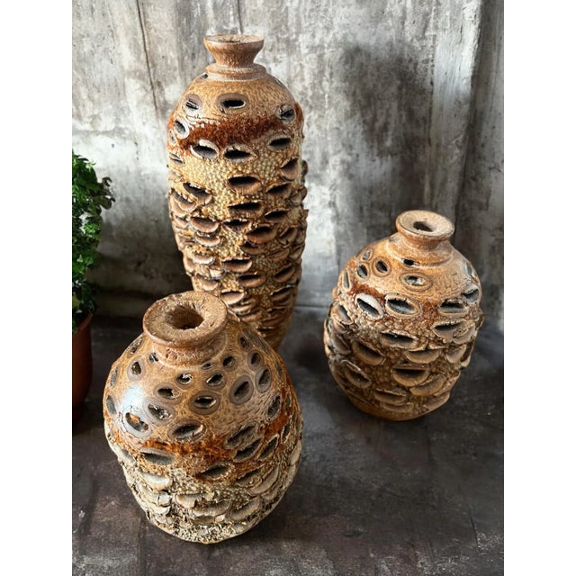 Mid-Century Modern Vintage Organic Banksia Seed Vases- Set of 3 For Sale - Image 3 of 12