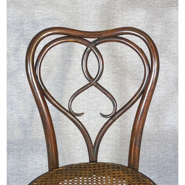 Tan Art Nouveau New York Chairs by Michael Thonet for Gebrüder Thonet, 1925, Set of 6 For Sale - Image 8 of 15