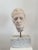 Plaster Sculpture Depicting the Face of a Man, Italy, 20th Century For Sale - Image 13 of 13
