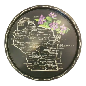 Mid-Century Wisconsin Metal Tourist Tray