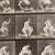 Eadweard Muybridge, Black and White Women in Motion Study, 1982, Photograph, Framed For Sale - Image 4 of 10