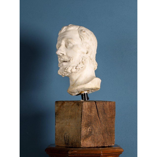 Girolamo Ticciati, Male Head with Beard and Wavy Hair, 18th Century, Marble For Sale - Image 5 of 8