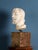 Girolamo Ticciati, Male Head with Beard and Wavy Hair, 18th Century, Marble For Sale - Image 5 of 8