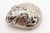 Silver Clam with Reliefs and Applications For Sale - Image 6 of 9