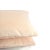 Light Pastel Peach Plushy Velvet Lumbar Pillow Cover For Sale - Image 4 of 7