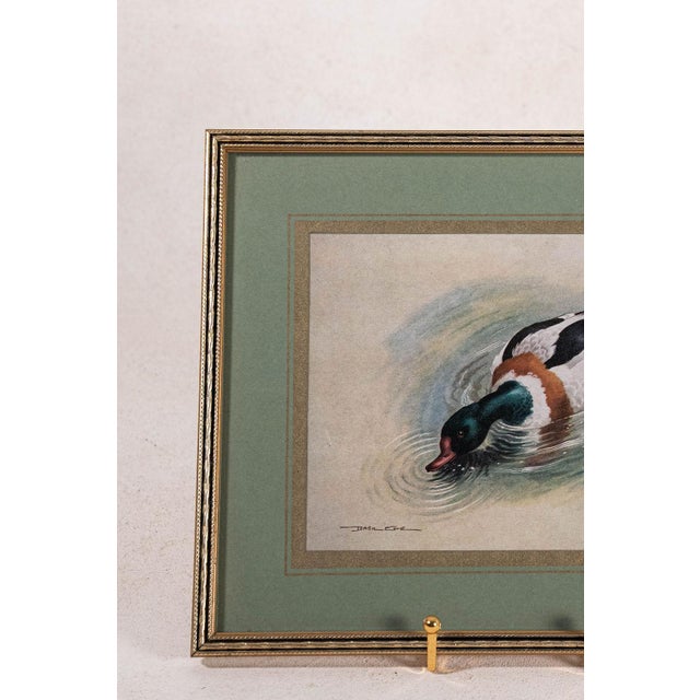 Green Set of 3 Signed Duck Prints With Green Mats For Sale - Image 8 of 9