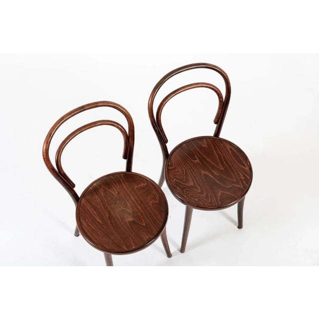 Vintage Bent Wood Cafe Bistro Chairs by Drevounia, Set of 8 For Sale In Detroit - Image 6 of 12
