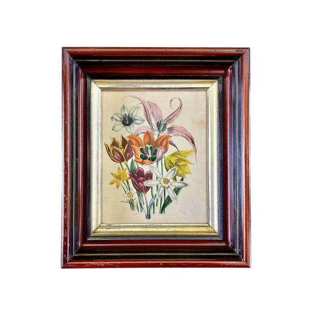 Traditional 1840s Hand-Colored Botanical Lithographs by Jane Loudon in Fine 19th Century Shadow Box Frames - a Pair For Sale - Image 3 of 7