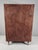 Vintage Wardrobe by Francisek Mezulanik, 1960s For Sale - Image 4 of 14