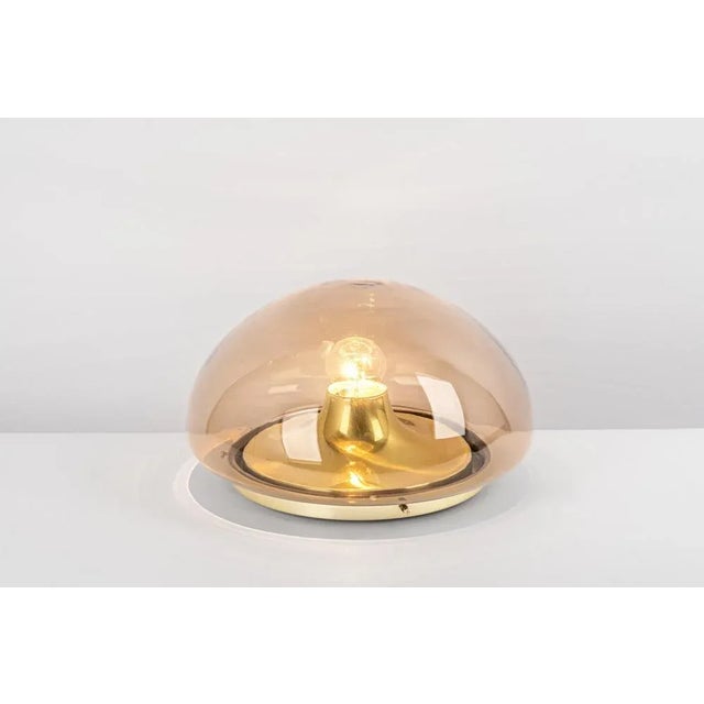 Gold Mid-Century Modern Smoked Glass Flush Mount from Limburg, Germany, 1970s For Sale - Image 8 of 11