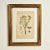Antique Group of Nine Hand Colored Botanical Prints For Sale - Image 13 of 18