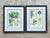 This elegant set of two vintage botanical illustrations captures the timeless allure of tropical flora with academic...
