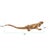 Contemporary Golden Lizard Wall Decor For Sale - Image 3 of 11