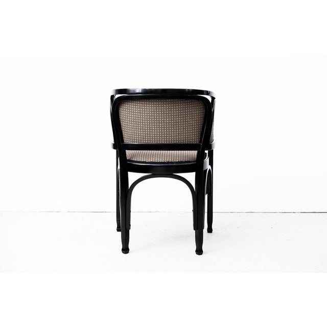 Original Art Nouveau Armchair Model 716/F by Gustav Siegel for Jacob & Josef Kohn, 1901 For Sale - Image 17 of 18