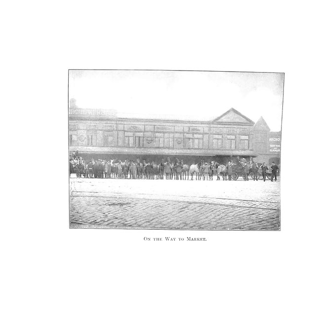 1900 - 1909 "Our Noblest Friend, the Horse" 1903 Ware, Francis M For Sale - Image 5 of 11