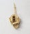 1950s Vintage 1950s Signed Napier Goldtone Flower Brooch For Sale - Image 5 of 8
