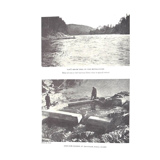 "Atlantic Salmon Fishing" 1985 Phair, Charles For Sale - Image 12 of 12