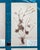 From a Collection of beautifully composed pressed specimens herbarium wildflowers, herbs We have been buying, selling and...