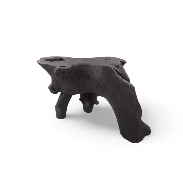 Black Natural Sculptured Console Table - 1 For Sale In Greensboro - Image 6 of 8