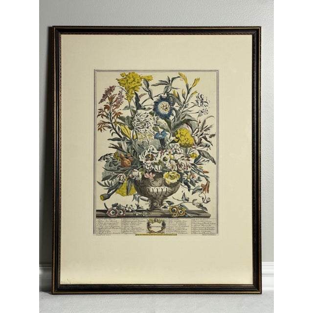 Late 20th Century Late 20th Century Framed Prints, 12 Months of Flowers by Robert Furber Orig. 1730 - Set of Four For Sale - Image 5 of 18