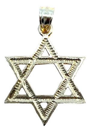 14k Yellow Gold Star of David Charm Pendant