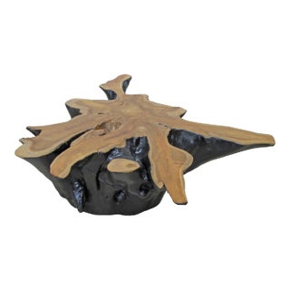 Organic Star Teak Root Coffee Table Base For Sale