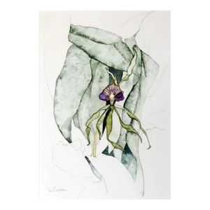 Purple Petunia, Carl Bergman