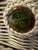 1980s 1980s Henry Link Wimbledon Wicker Sofa For Sale - Image 5 of 7